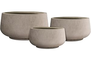 Kante Set of 3 Christmas Tree Planters