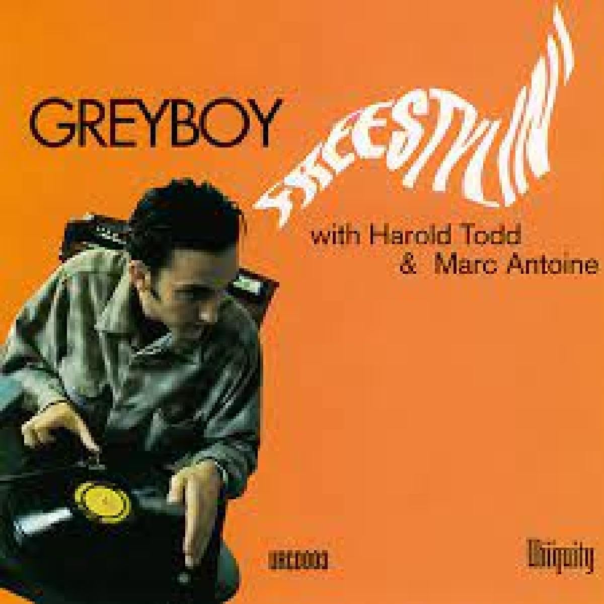Freestylin' [Audio CD] Greyboy
