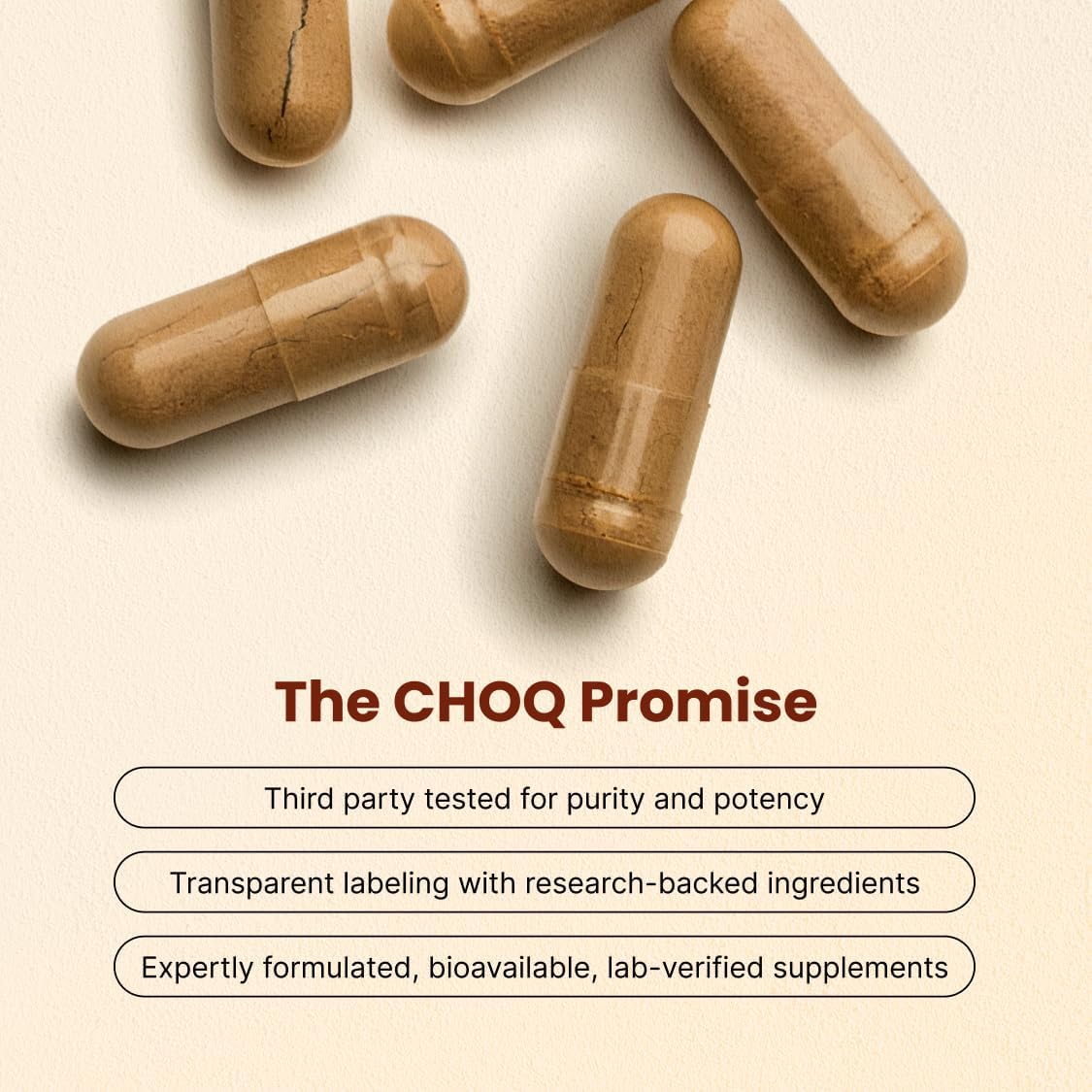 CHOQ Action 2.0 Energy & Circulation Support - Rhodiola Rosea, Beetroot & B12 Supplement - Nitric Oxide Booster for Men & Women - Focus & Recovery - 90 Capsules - Image 3