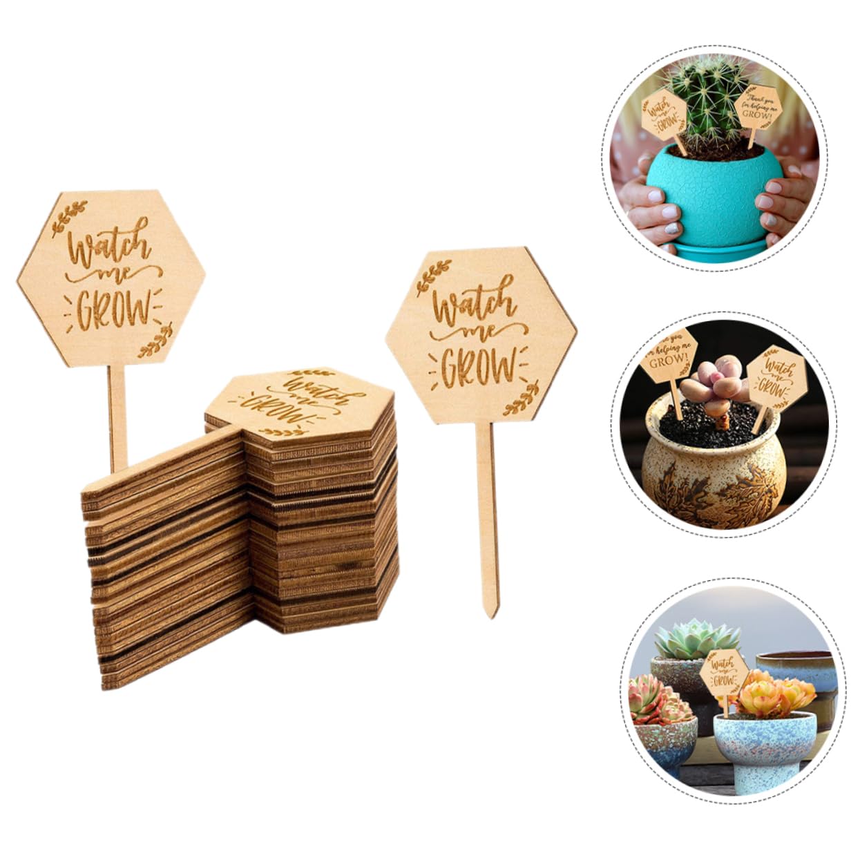 HANABASS 5 Ensembles Étiquettes Pour Plantes Marqueurs De Jardin Durables Pour Identifier Fleurs Plantes Pot Pour Magasins De Fleurs 40 Pièces * 5