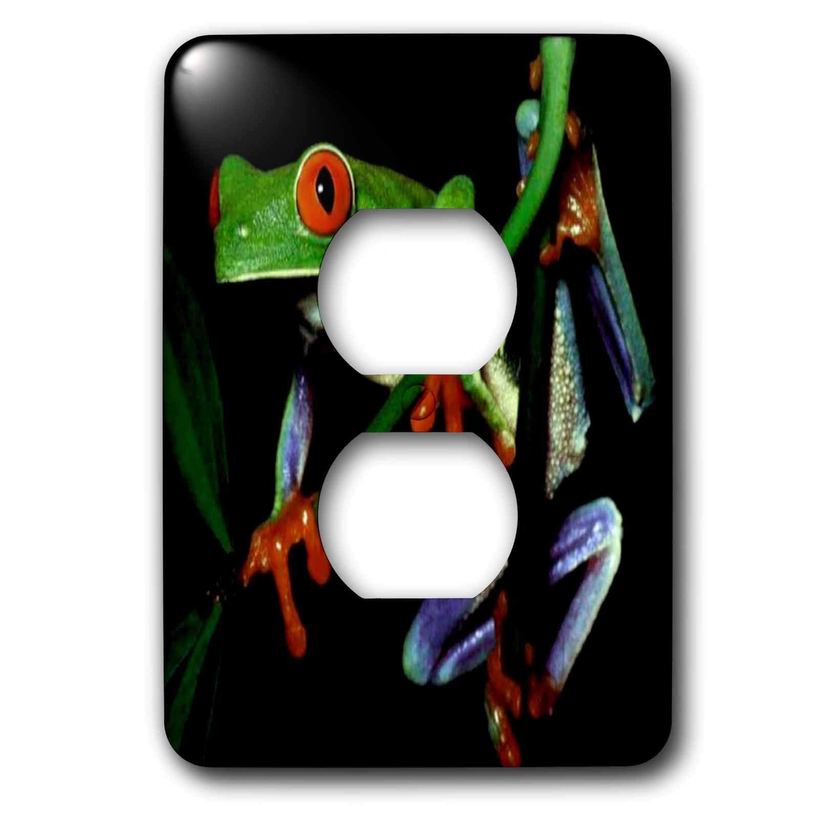 Grenouille 2 prises 3dRose lsp_1323_6 plaque de interrupteur décorative