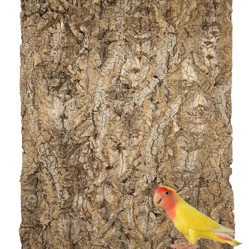 Allazone Perche en Liège Naturel, Fond en Écorce De Liège pour Terrarium Décor, Jouet D'écorce en Liège pour Oiseaux Tortue Lézard (Couleur Bois, 30 x...