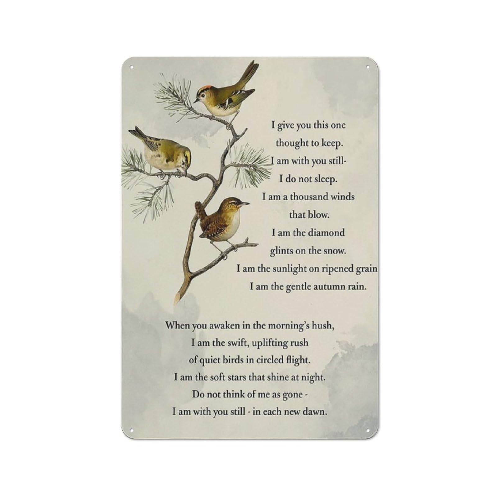 Metal Posters Metal Signs Vintage Tin Signs I Give You This One Thought To Keep Print Birds Painting For Home Kitchen Bathroom Parlor Wall Decor 5.5X8 Inch