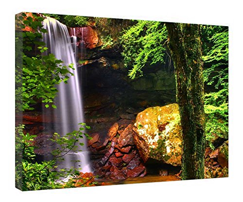 Toile encadrée en bois de 40,6 x 50,8 cm pour décorer votre salon