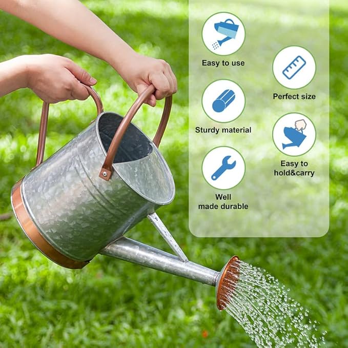 The Durable and Leakproof Galvanized Watering Can is a solid and long-lasting product made from thickened galvanized steel that ensures it is 100% leakproof. The copper-colored handles and sprinkler head will not rust, and the powder-coated colorful surface adds both attractiveness and strength to this garden essential. With a capacity of 1 gallon, this watering can is built to withstand many years of use.