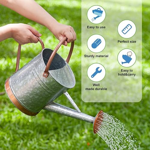 8Pints 1 Gallon Watering Can For Outdoor Plants - Metal Watering Can For Outdoor Plants House Plant Watering Can With Sprinkle Head Perfect Watering Can Indoor Plants For Outdoor And Indoor Gardening #TOP2