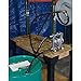Roughneck Air-Operated Double Diaphragm Oil Pump - 12 GPM, 1/2in. Inlet and Outlet