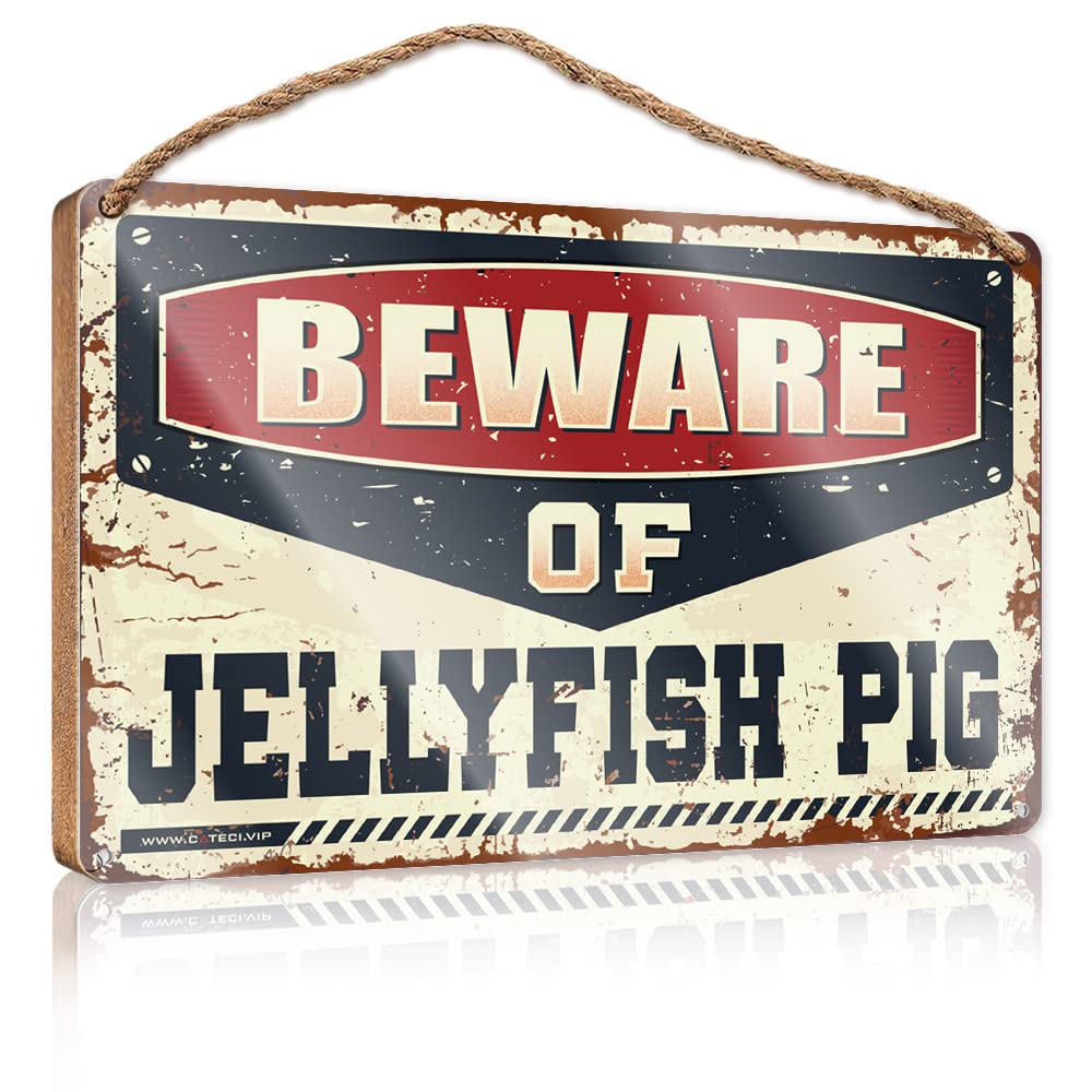 DTHA Funny Bathroom Decor Beware Of Jellyfish Pig Wooden Sign Door Hanging Decoration Teen Room Decor(15X28CM)