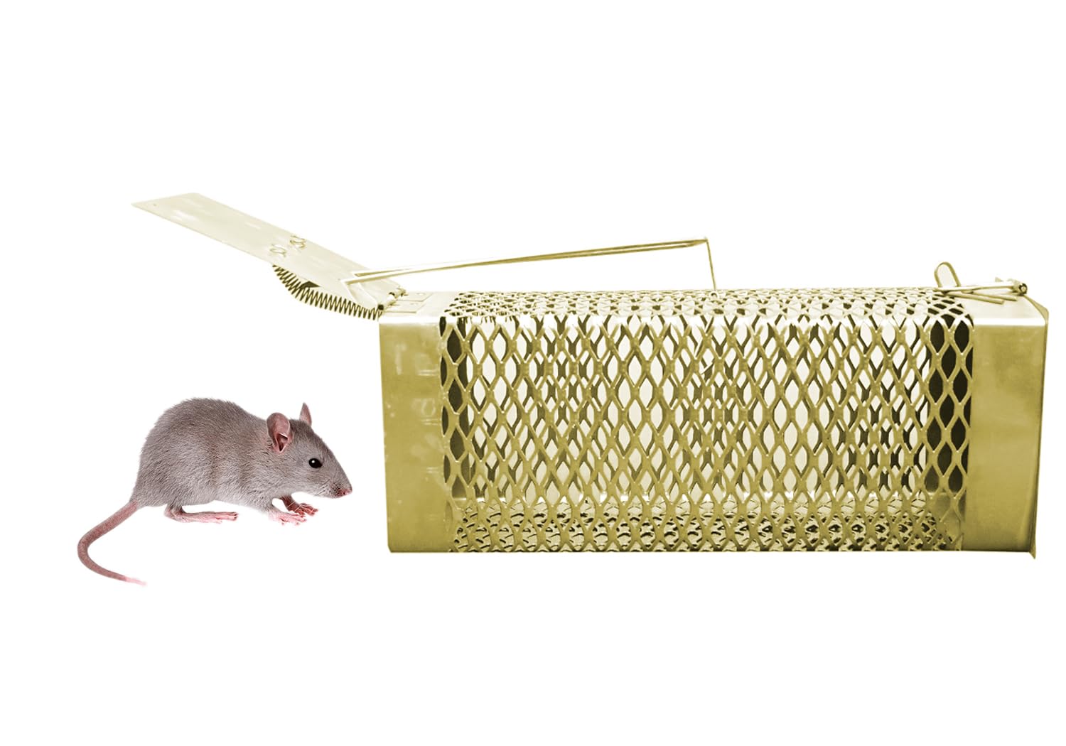 Rat Catcher/Mouse/Rodent Trap Cage Rustic Copper (Criss Cross) - Rat (B0DBG4H3TG) Amazon Price History, Amazon Price Tracker