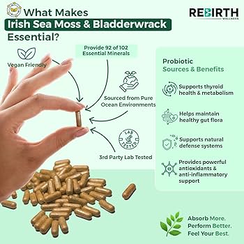 bladderwrack benefits () bladderwrack benefits