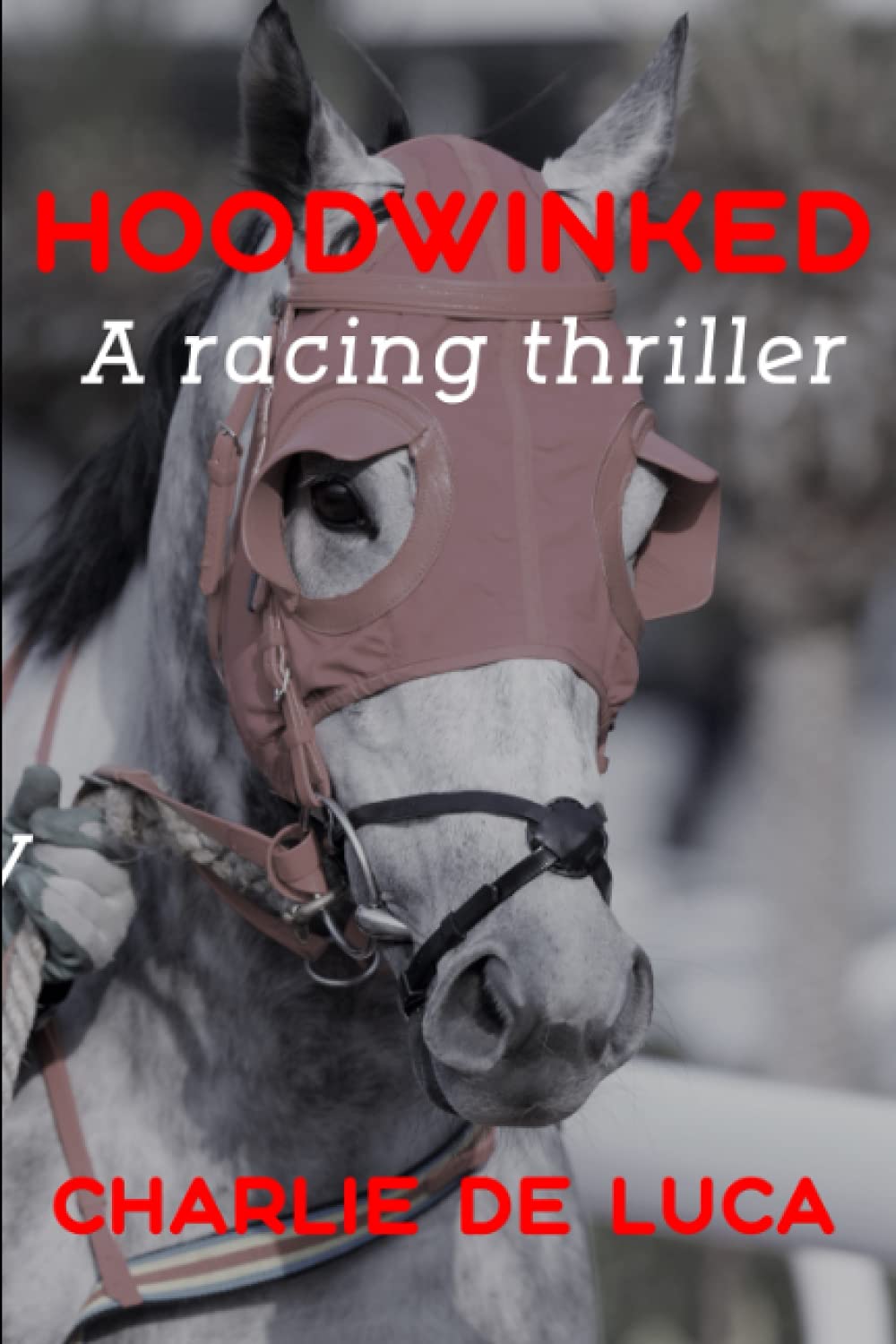 Hoodwinked: A great racing thriller.