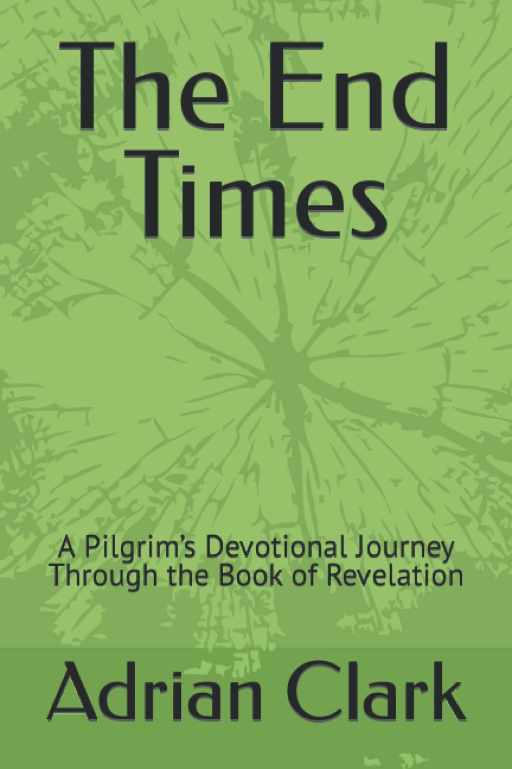 The End Times: A Pilgrim’s Devotional Journey Through the Book of Revelation (Being a Pilgrim)