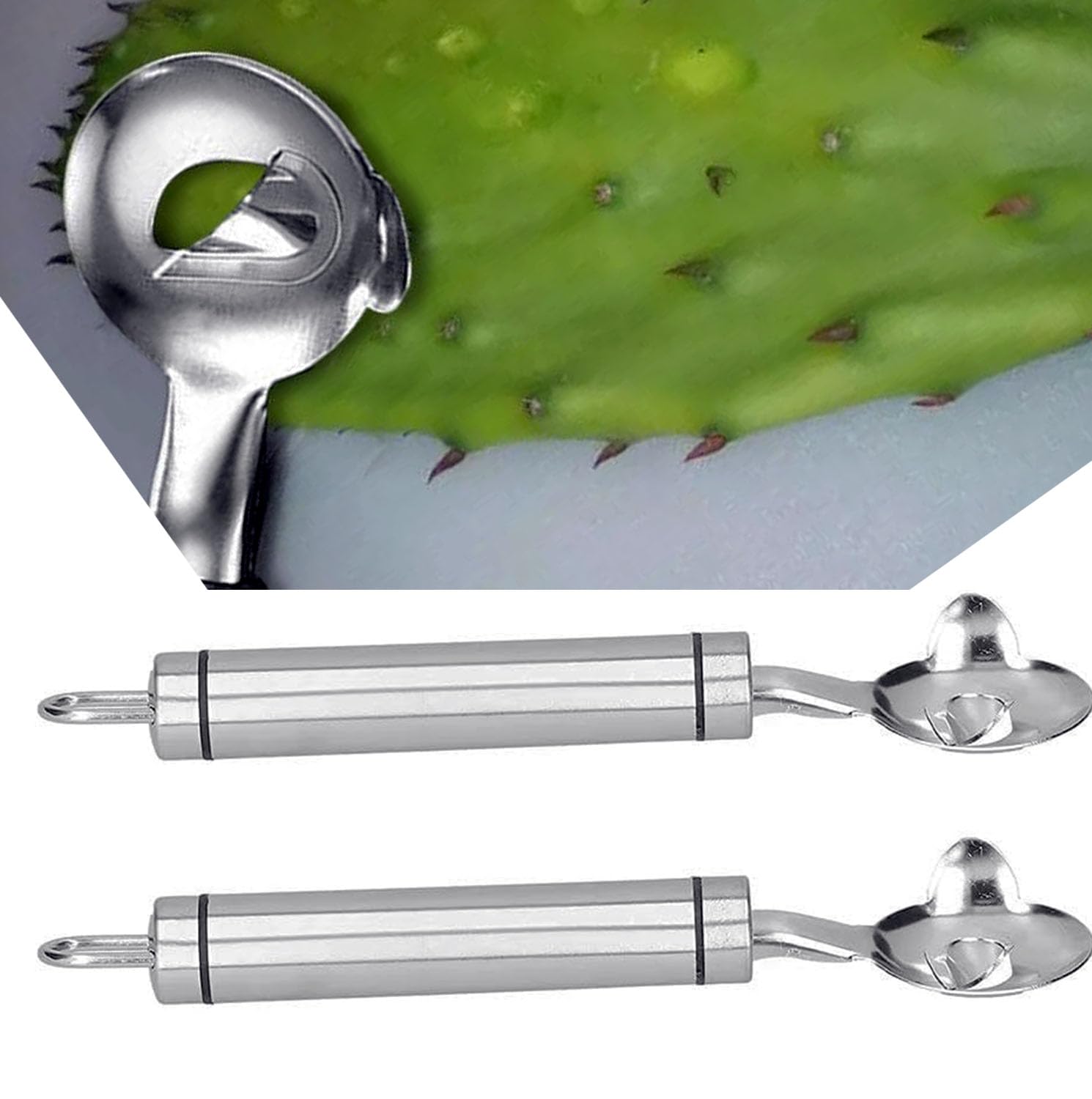 Cactus Peeler Tool, 2 Pack Stainless Steel Pelador de Nopales, Spoon Cactus Thorn Removal Tool, 7.48x1.89in Portable Tools for Kitchen Accessory