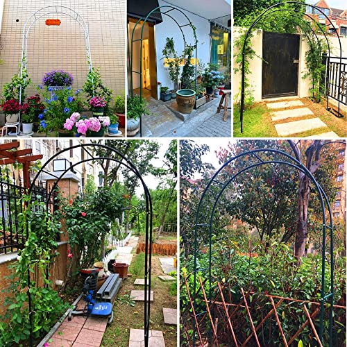 Arche de jardin en métal robuste comme aide à l'escalade pour vos rosiers - 3