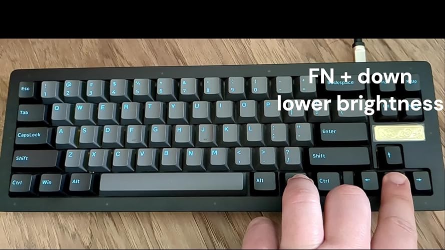 Amazon | Akko ACR Pro 68 ホットスワップ可能 ブラック&シアン