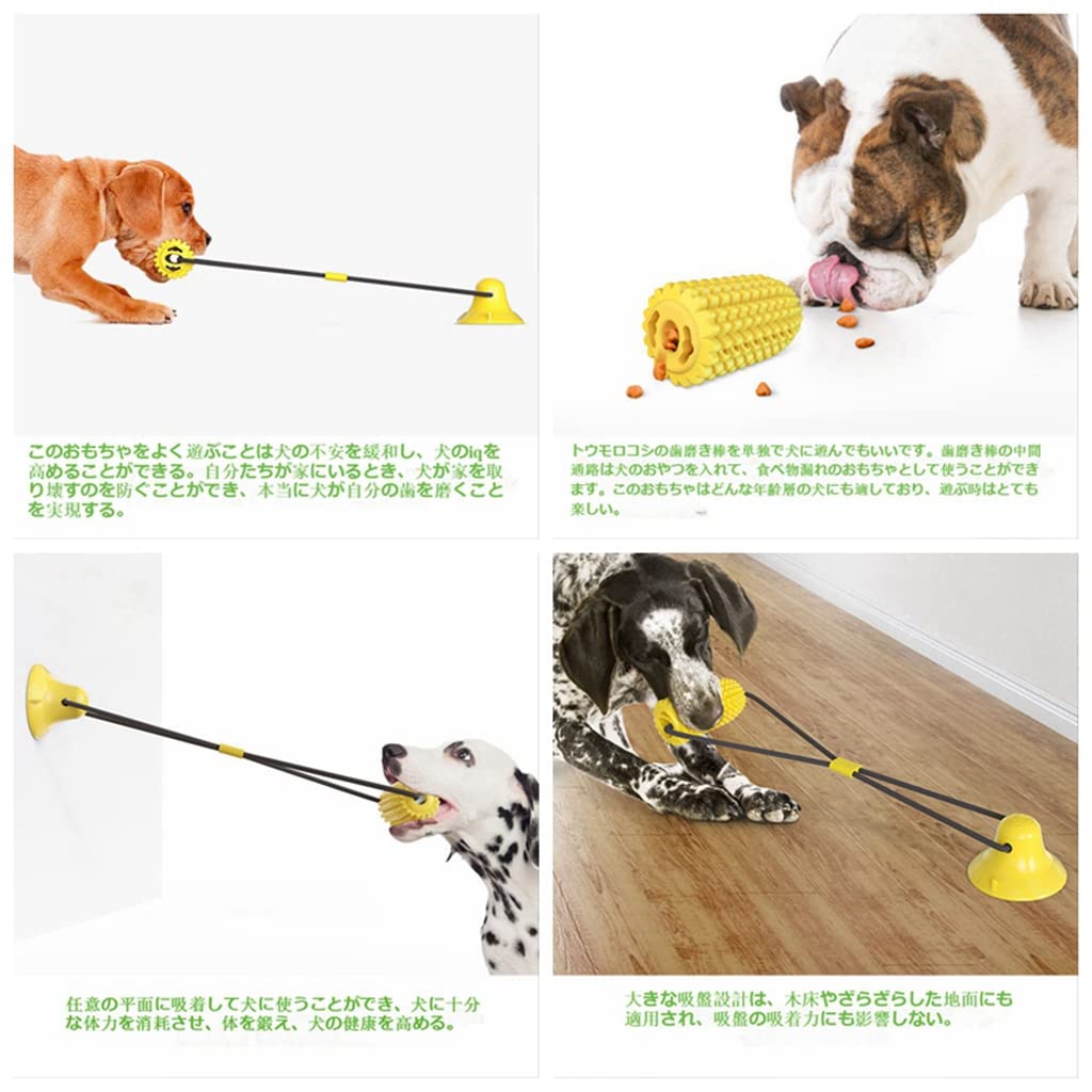 Amazon | 犬おもちゃ 噛むおもちゃ 知育玩具 トウモロコシの歯