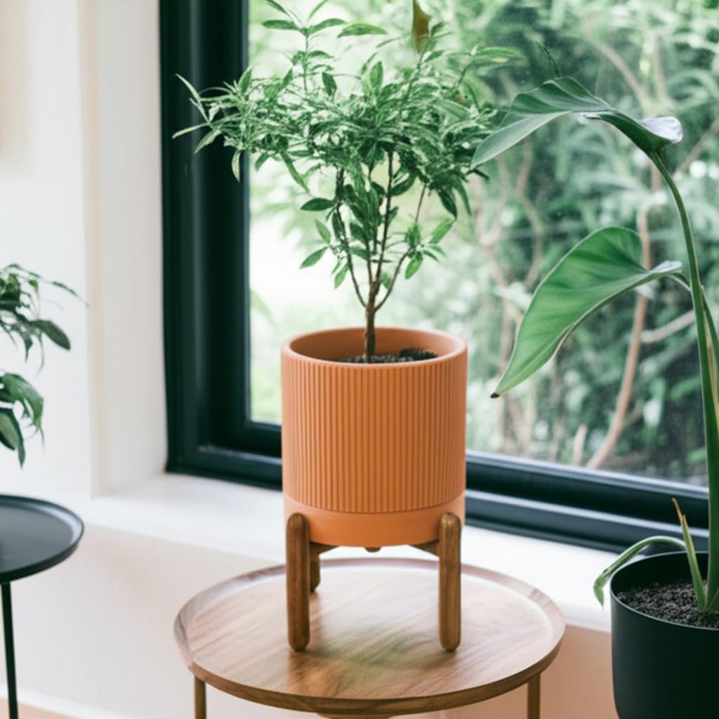 Large Terracotta Pots, 8 Inch Clay Planter Pots with Drainage Hole & Saucer (with Stand), Garden Planters for Indoor/Ourdoor Plants, Cactus & Snake Plant