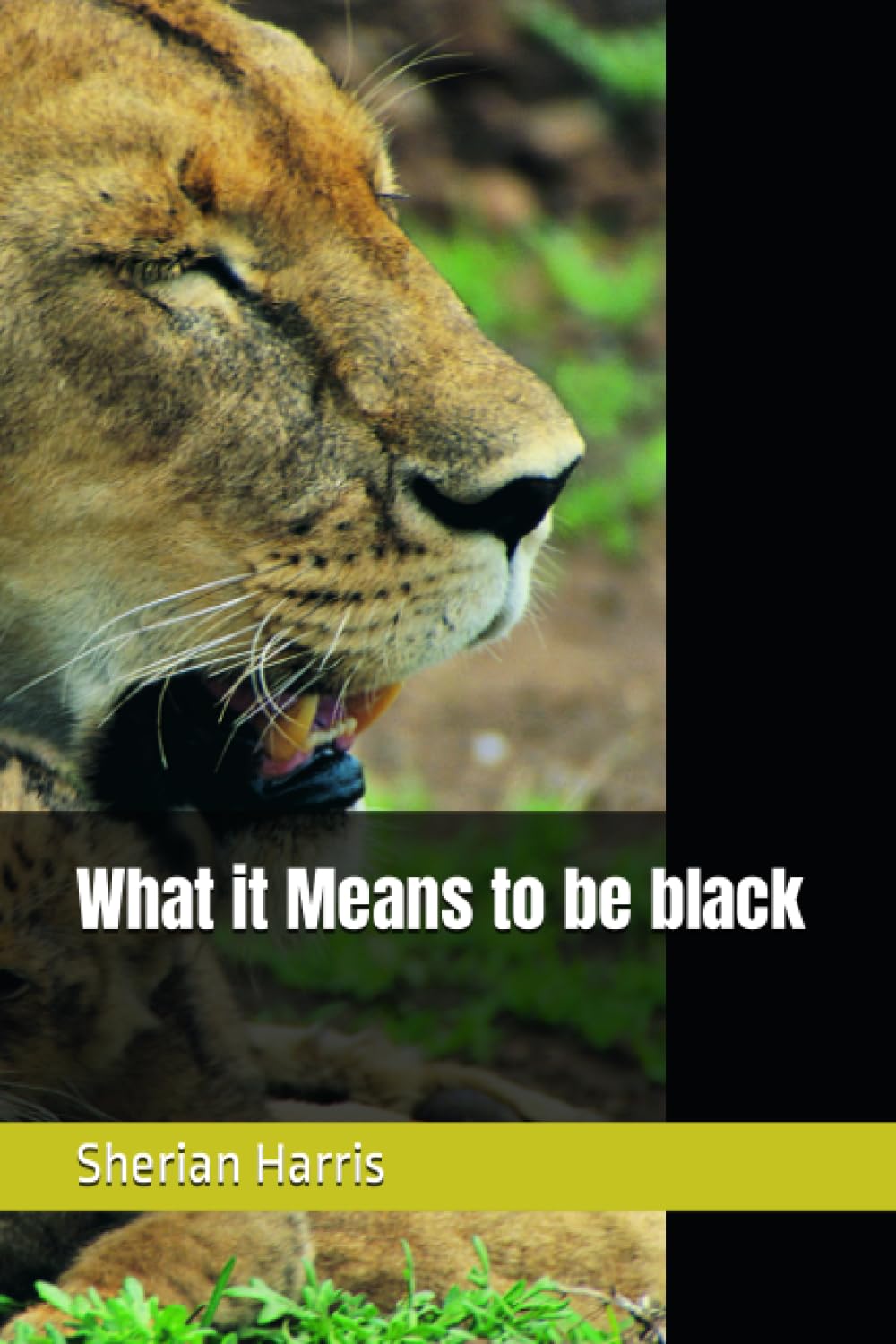 What it Means to be black