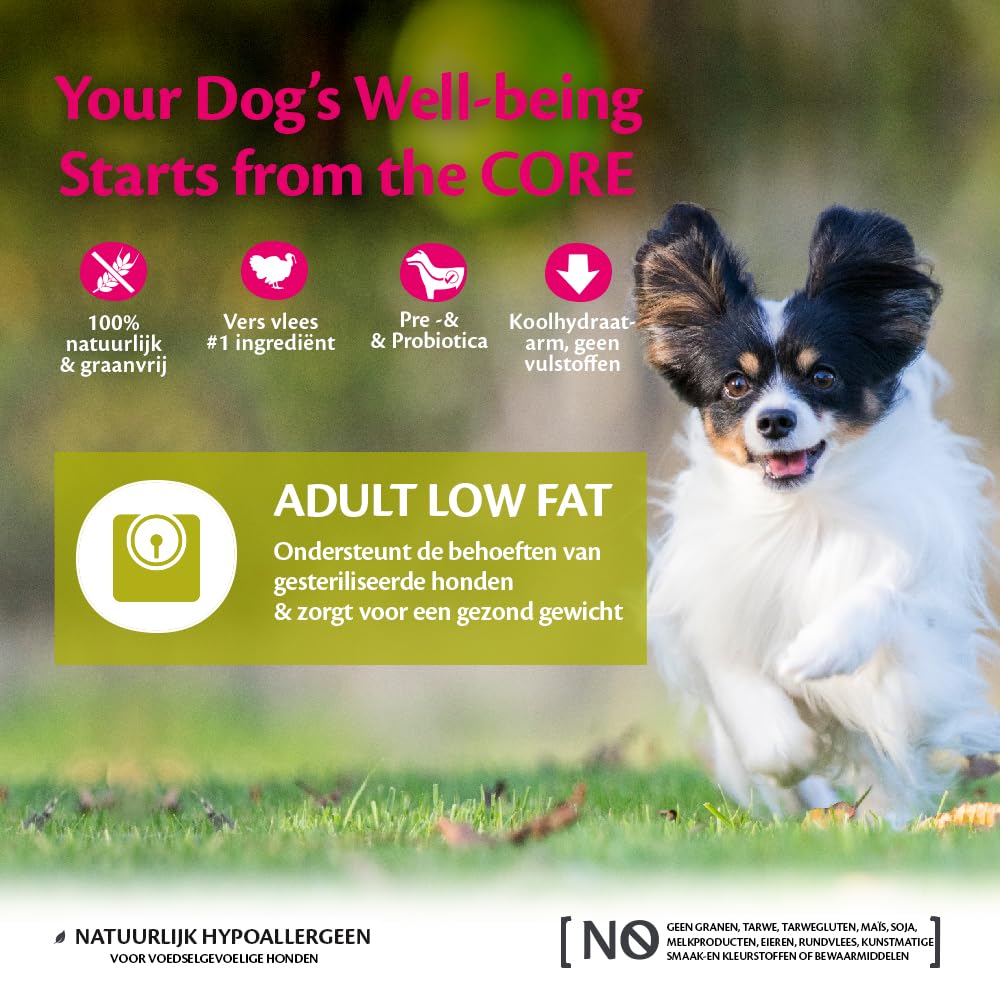 Wellness CORE Senior 10 kg, Kip/Kalkoen – Droogvoer voor Oudere Honden, Graanvrij, Natuurlijk, Hypoallergeen, Eiwitrijk, Hoog Vleesaandeel, Ondersteunt Heupen & Gewrichten