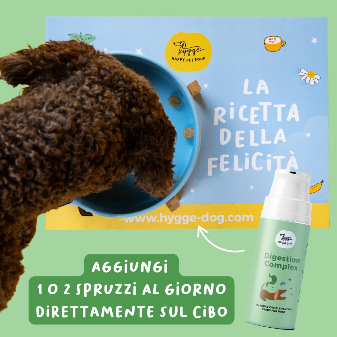 Digestion Complex – Probiotico per Cani | Topper Digestivo con Prebiotici e Fitoestratti Naturali | Integratore Flora Intestinale, Stomaco Sensibile e Digestione | Made in Italy 100ml | Hygge Dog.