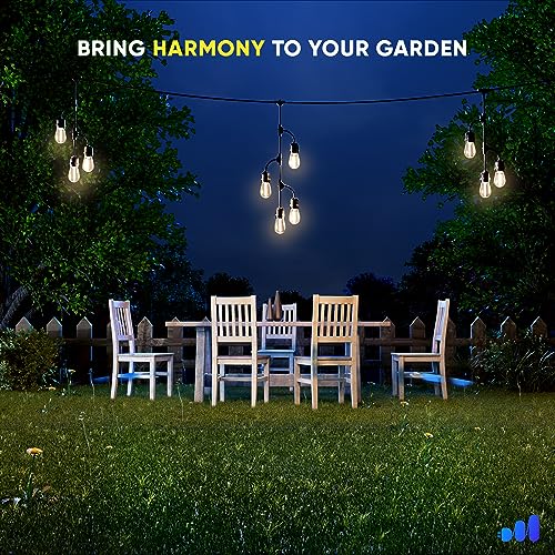Luces exteriores para patio con 10 bombillas LED Maximm miniatura 6