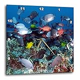3dRose DPP_44933_2 Tropical Coral Reef Fish Wall Clock, 13 by 13'