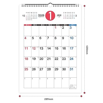 Amazon | SKYDUE 2025年8月〜2026年12月 カレンダー 壁掛け 日曜