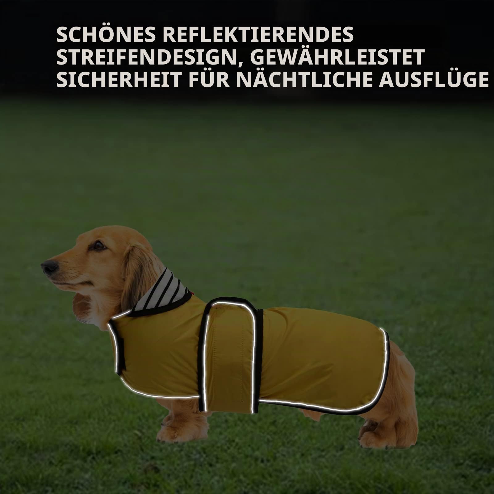 Geyecete Hunde Regenmantel,Einstellbar Wasserdicht Hundejacke für Dackel,Regenmantel mit reflektierenden Trägern,Regenjacken mit Gürtel mit Klettverschluss für Miniaturdackel-Gelb-M