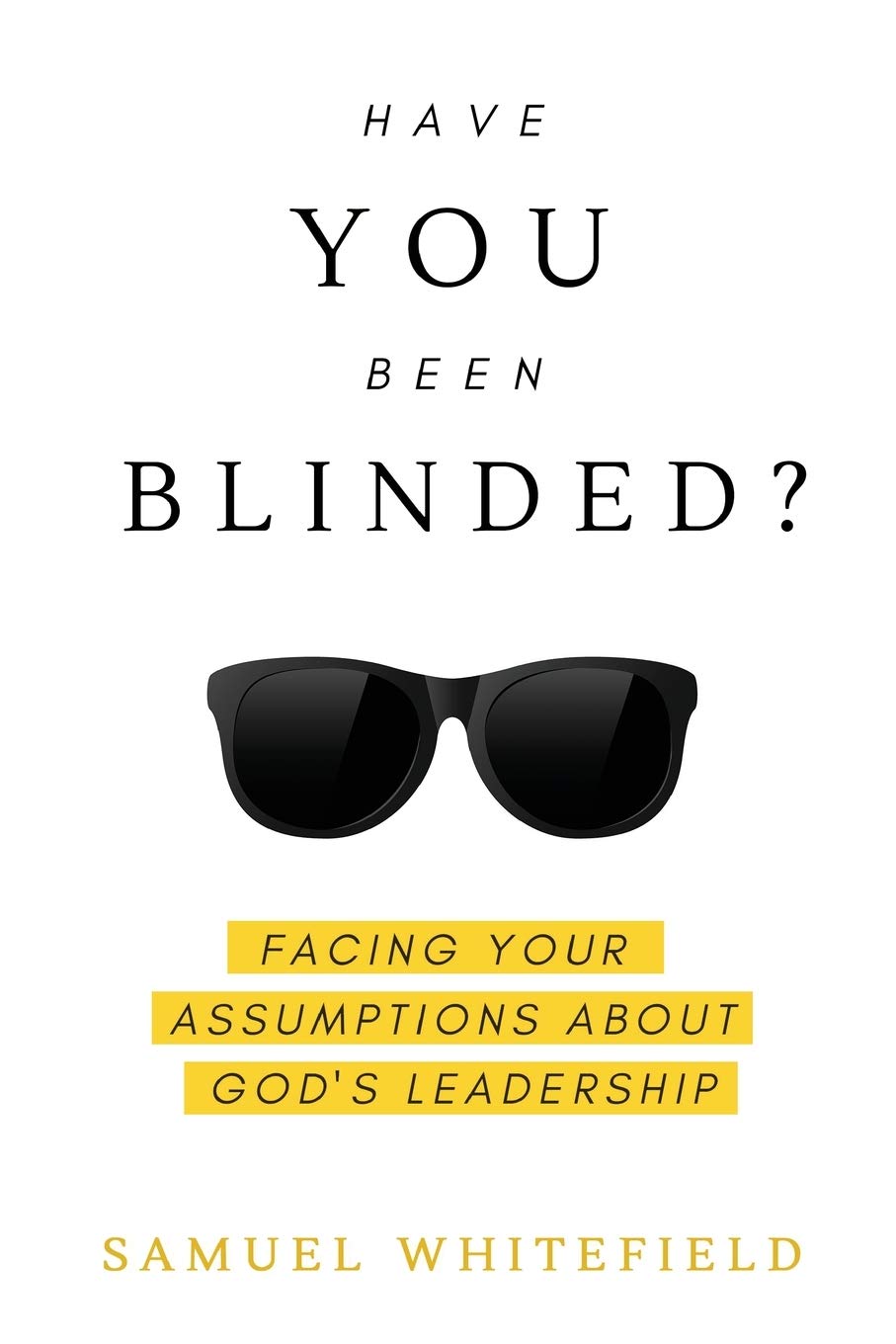 Have You Been Blinded?: Facing Your Assumptions about God's Leadership