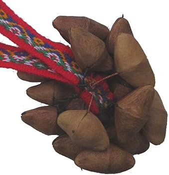 Amazon.co.jp: チャクチャス チャフチャス IN-006 木の実 ひも付き