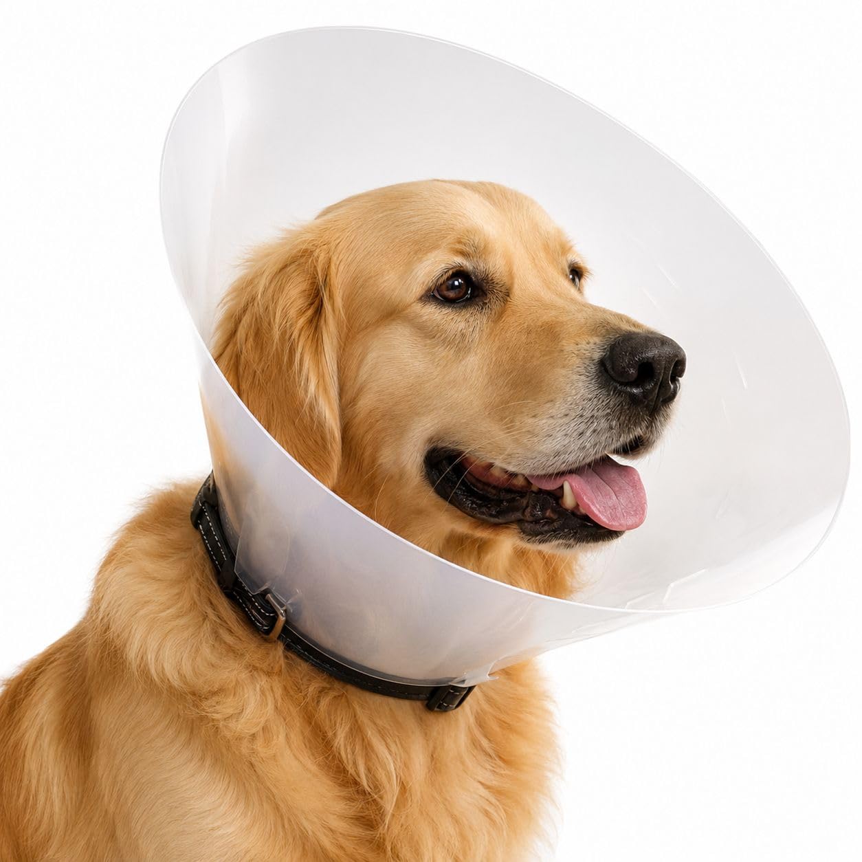 Collare Elisabettiano per Cani e Gatti – Collare Protettivo Post Operazione Trasparente, Cono Veterinario Regolabile Anti-Leccamento, Collare Recupero per Ferite e Chirurgia (35cm)