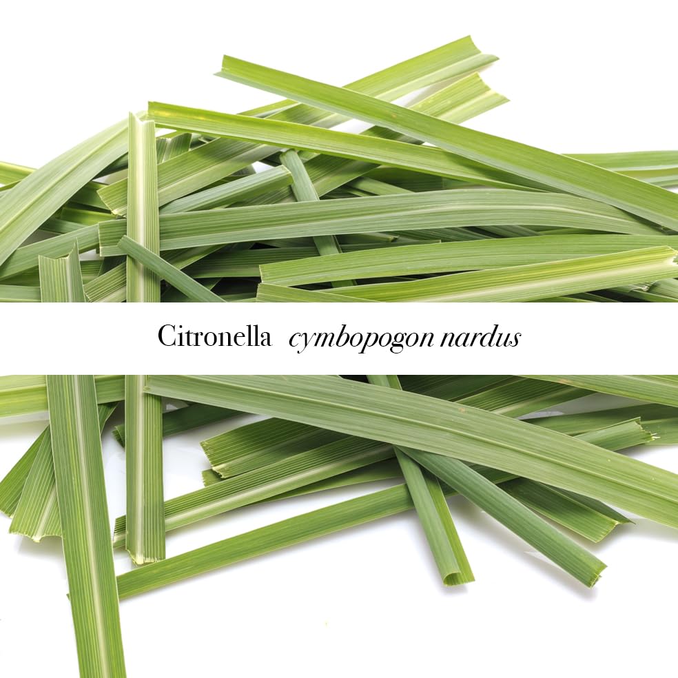 Castello de Haye, Citronella Aromatherapy Room Mist Spray 1 x 100ml - Image 4
