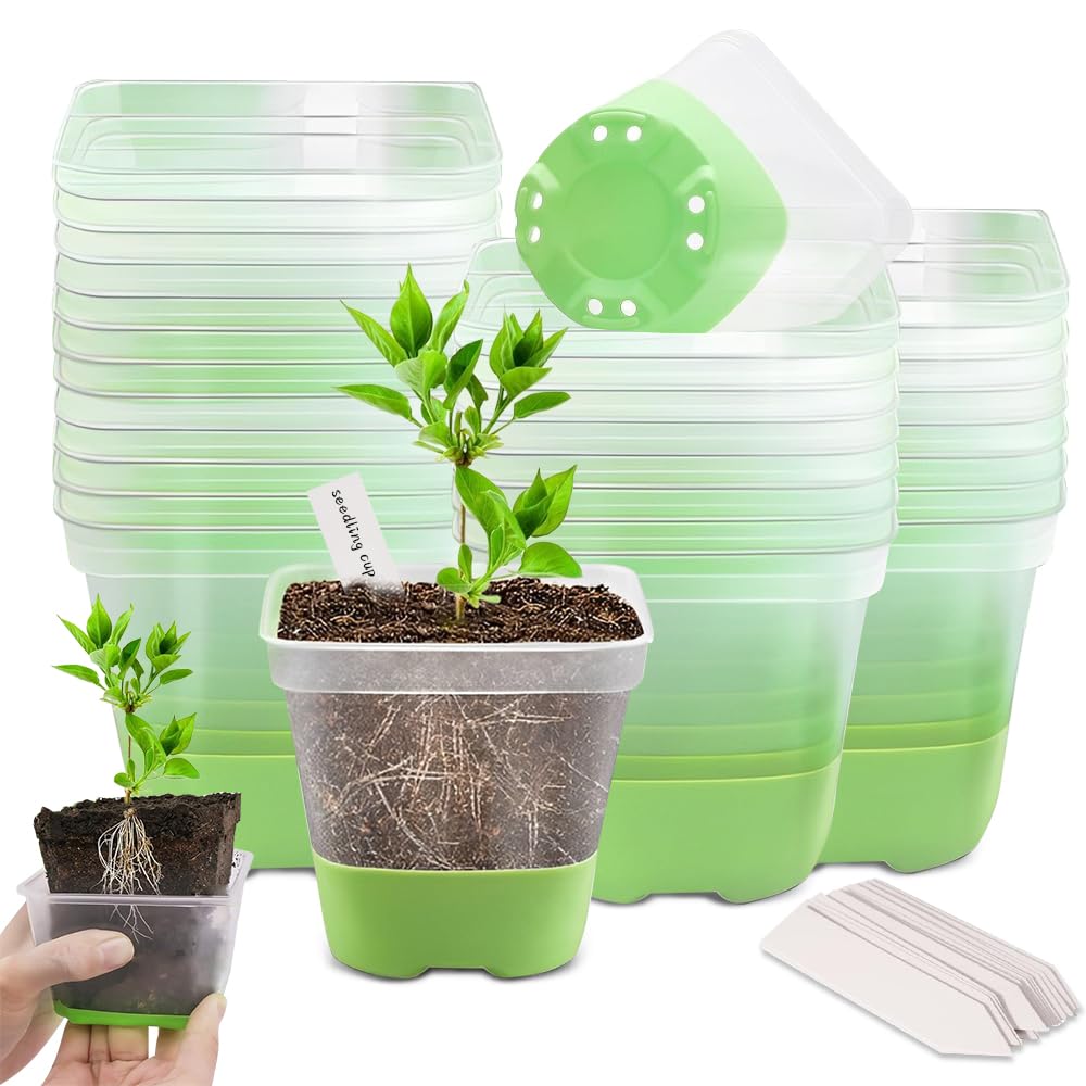 IXYHKB Macetas De Plástico, 30 Piezas Macetas Transparentes con Silicona Base, 8.1cm Cuadrado Reutilizables Maceta De Plástico para Guardería con Orificios De Drenaje para Plántulas Trasplante
