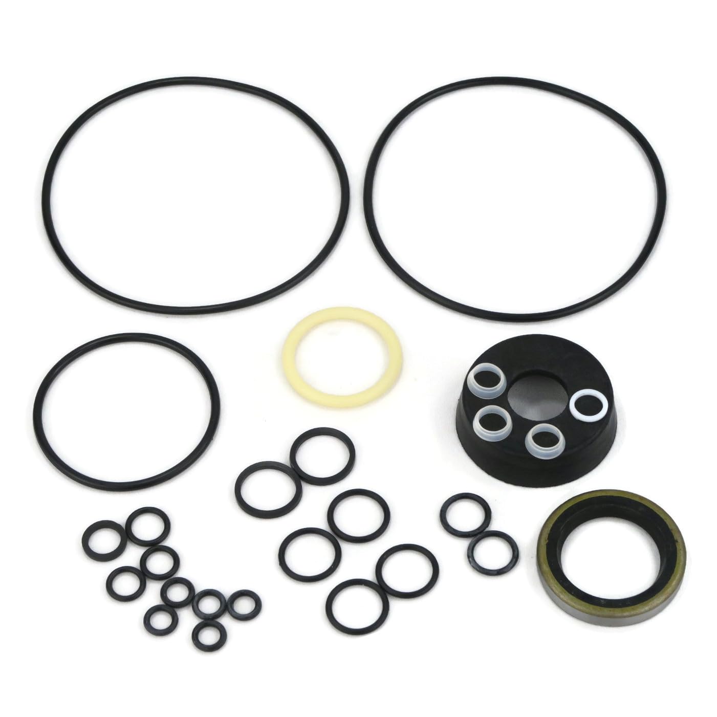 Amazon.com: Snowplow Complete Seal KIT fits Meyer E-46 E-47 E-57 E