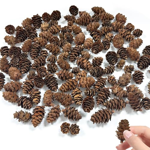 Mini Zapfen Deko 13 xuefenfei 200 Stück Natürliche Weihnachten Tannenzapfen, 1-4cm...