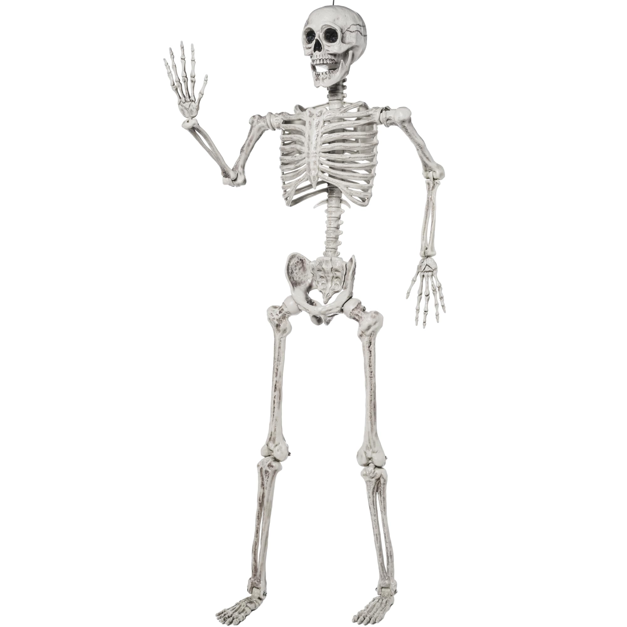 JOYIN Halloween możliwy szkielet na całe ciało, realistyczne kości z ruchomymi przegubami, na Halloween, do dekoracji wewnątrz i na zewnątrz (białe)