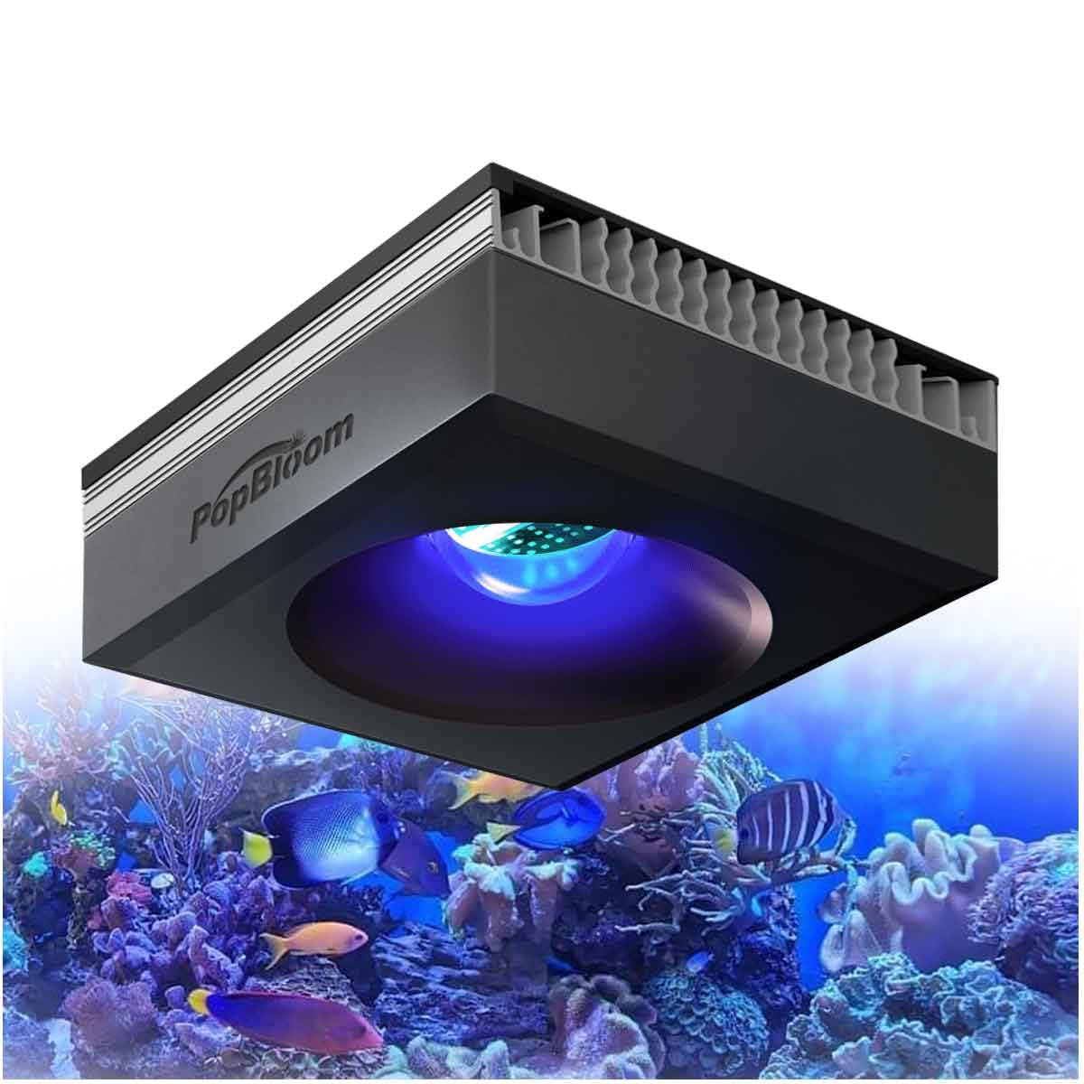PopBloom RL90 WiFi Led Aquarium Light 100W, APP Smart Control Marine Tank Lighting Full Spectrum for Saltwater SPS/LPS Coral Fish Tanks