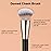 TEOYALL Domed Cheek Brush, Medium Precision Brush Head with Dense Synthetic Bristles for Contour Bronzer Blush with Loose Powder Cream