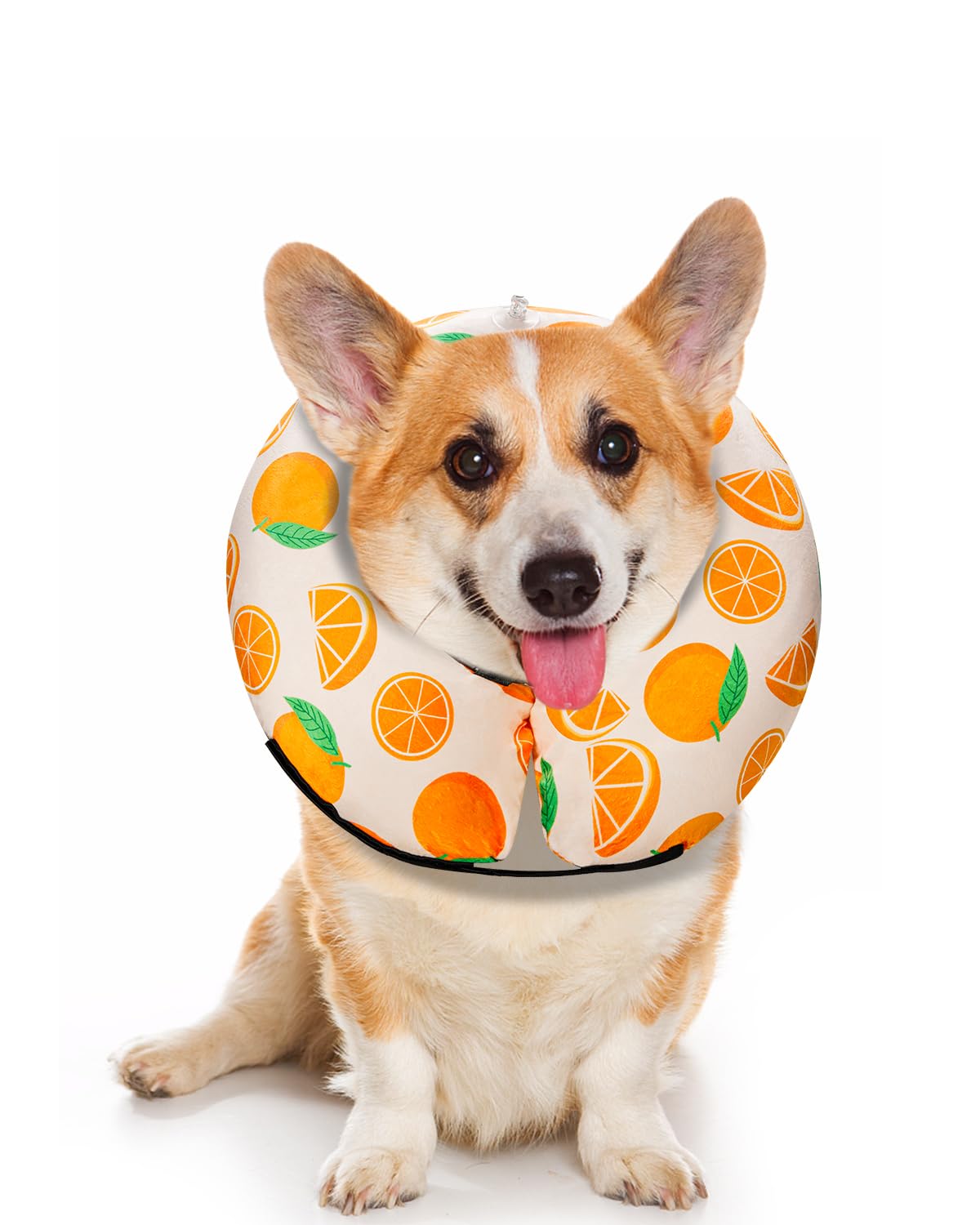 MIDOG Inflatable Dog Cone, Soft Donut Recovery Collar, Tangerine, Small