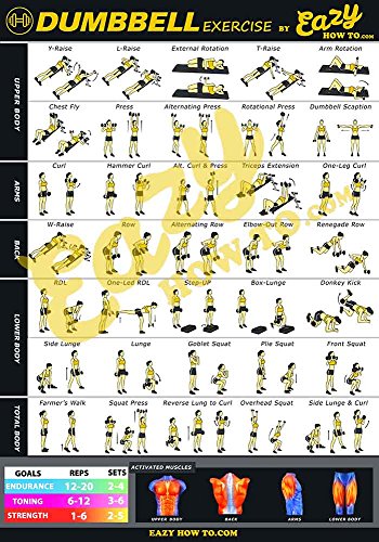 Eazy wie zu Hantel Übung Workout Poster Big 51,0 x 73,0 cm Zug Ausdauer, Ton, Build Stärke & Muscle Home Gym Diagramm
