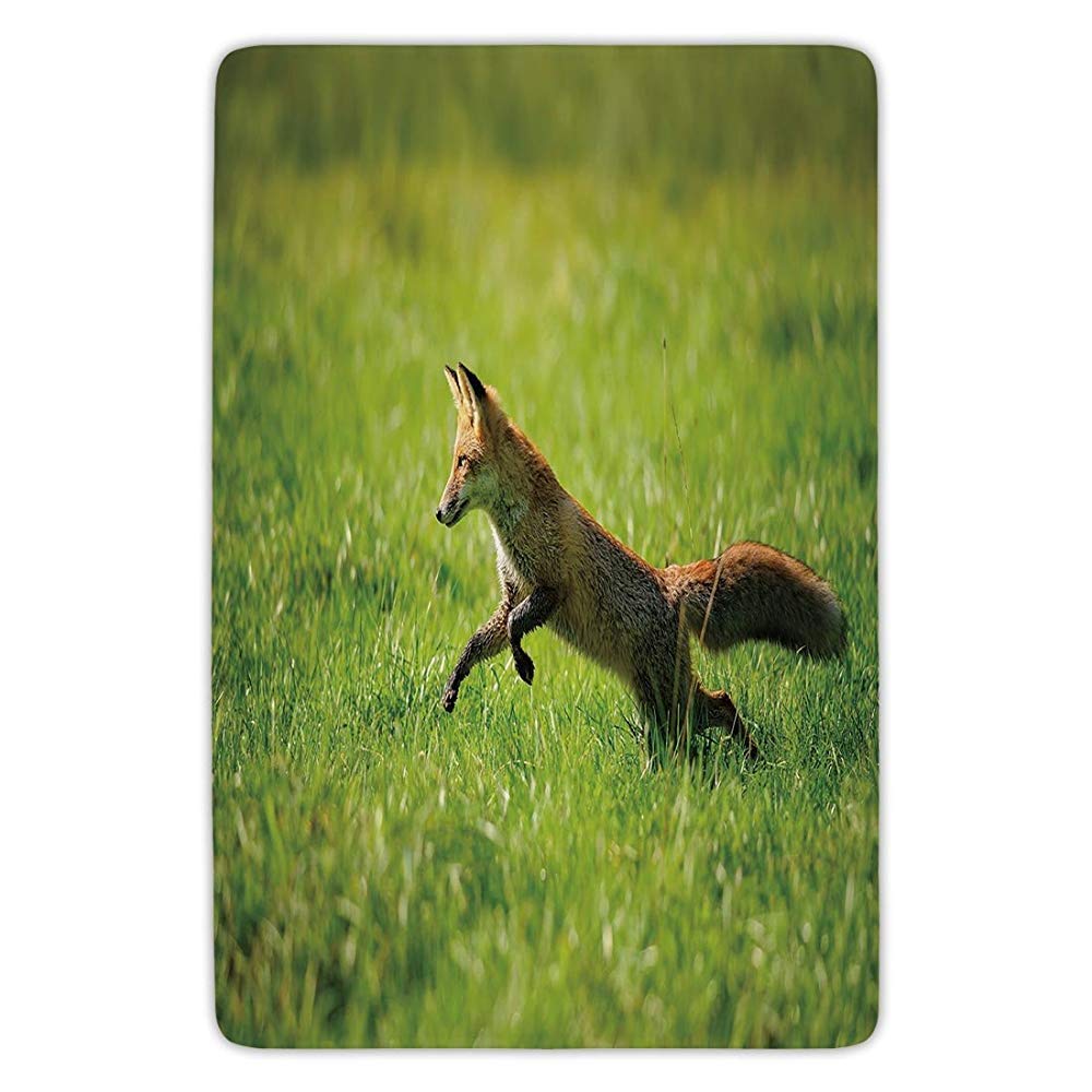 Bathroom Bath Rug Kitchen Floor Mat Carpet,Fox,Red Fox Jumping Running in Fresh Green Grass Daytime Nimble Clever Ferocious Canine,Green Brown,Flannel Microfiber Non-slip Soft Absorbent