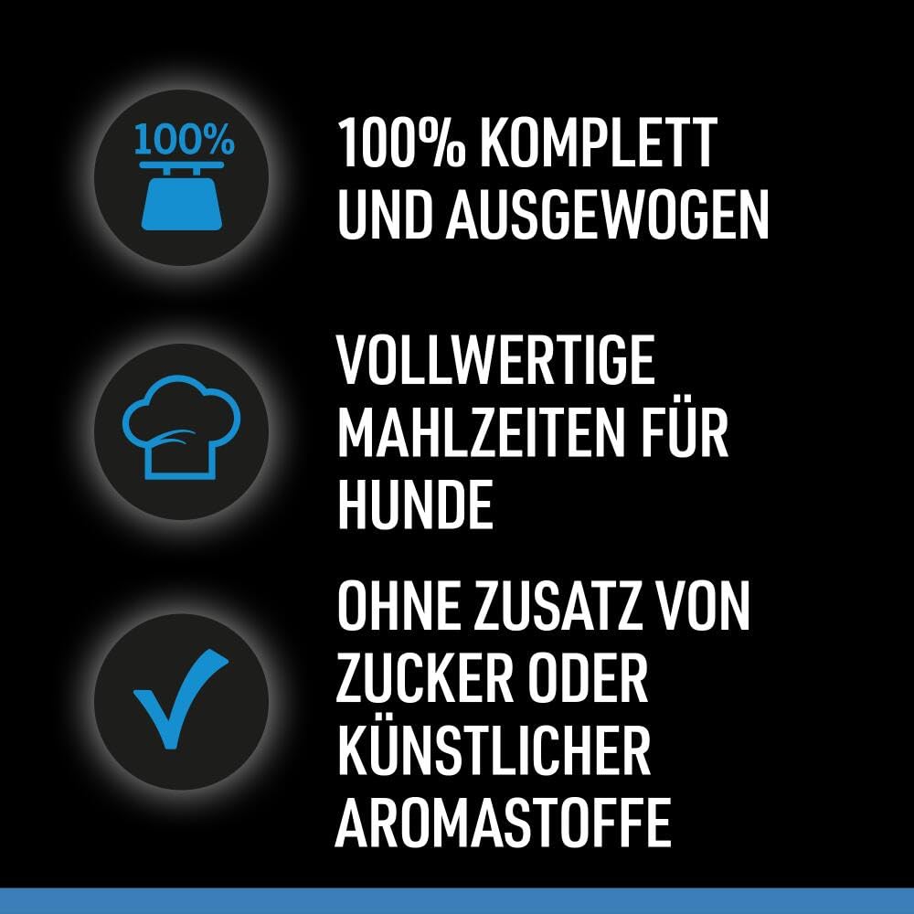 Cesar Selektion in Gelee Premium Hunde Nassfutter für Senior 10+ im Portionsbeutel Getreidefrei mit Superfoods in 4 Varietäten Megapack 40x100g