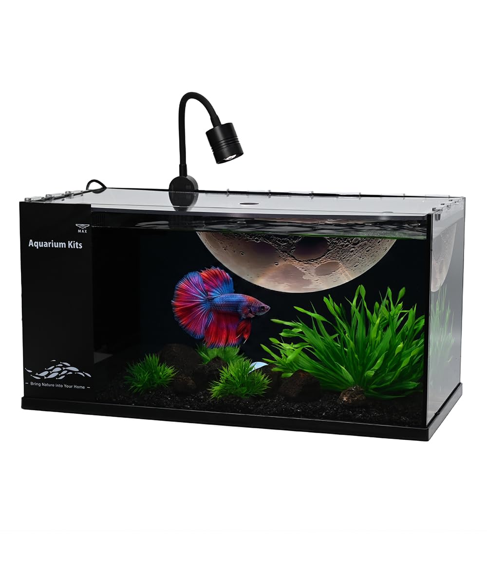 ZXIE-Cloud 3.5 Gallon Nano Aquarium