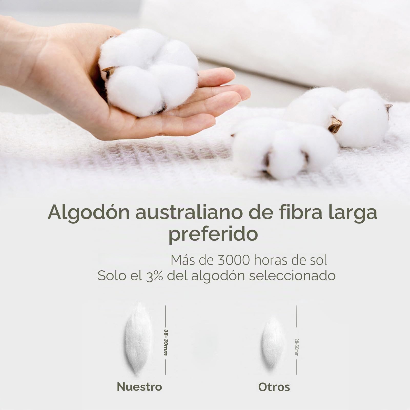 MILDLY - Funda nórdica de 240 x 260 cm, 100% algodón lavado, juego de funda nórdica, certificado Oeko-TEX, verde salvia, juego de cama de 240 x 260 cm, algodón con cremallera y 2 fundas}