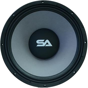 q one speaker 18 inch 1000 watt price