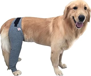 Protetor Individual Para Cachorro Para Perna Traseira Membros Posteriores ou Dianteira Membros Anteriores (10)