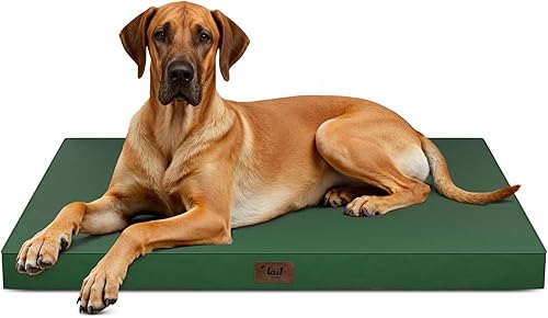 Miniatura 113 de Cama Ortopédica para Perros de Exterior para Perros Medianos y Gatos, Tapete Plano Impermeable para Mascotas con Espuma de Caja de Huevos y Funda