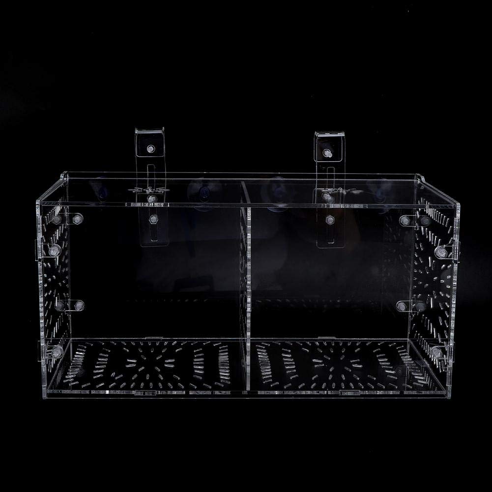 Boîte d’Isolation de Poissons en Acrylique avec Plaque d’Isolation pour Poissons, Crevettes, Clown et Guppy