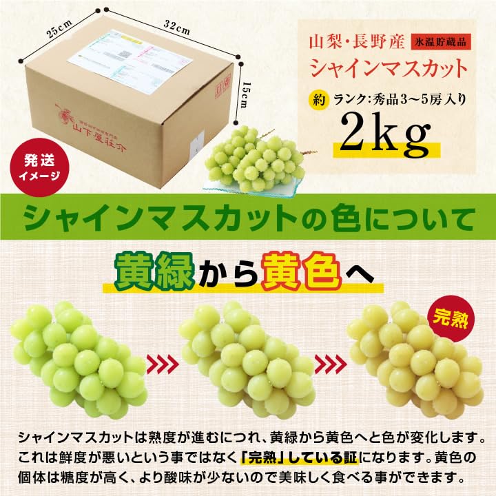 Amazon.co.jp: 山下屋荘介 蔵出し シャインマスカット 秀品 (3～5房