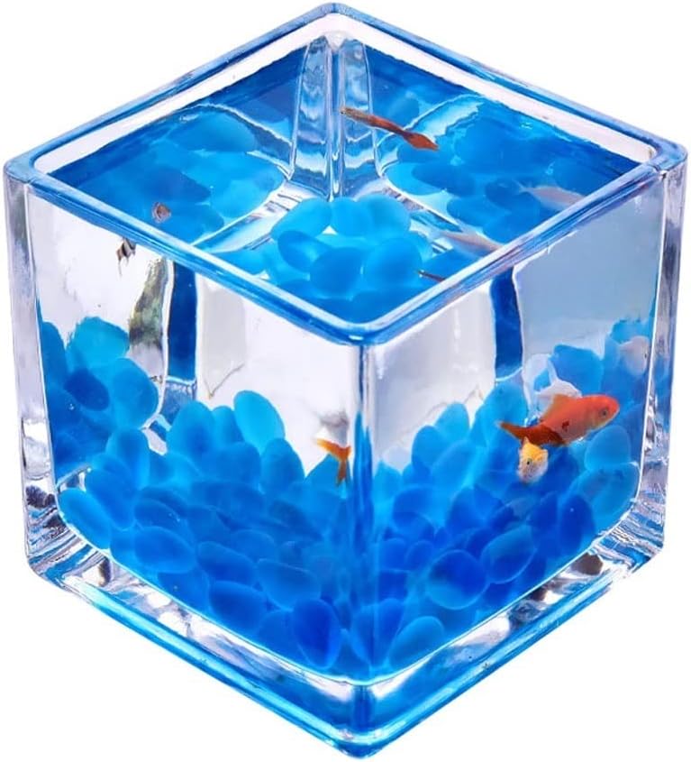 TOOSII Fish Bowl Vase Desktop Square Transparent Glass Small Office Home Fish Tank Creative Decoration Fish Small Fish Tank Water Plant Fish Tank Small Fish Tank Starter Kit (Color : A, Size : 10cm)